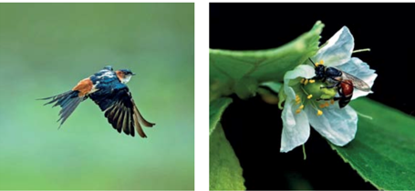 Times of India Review